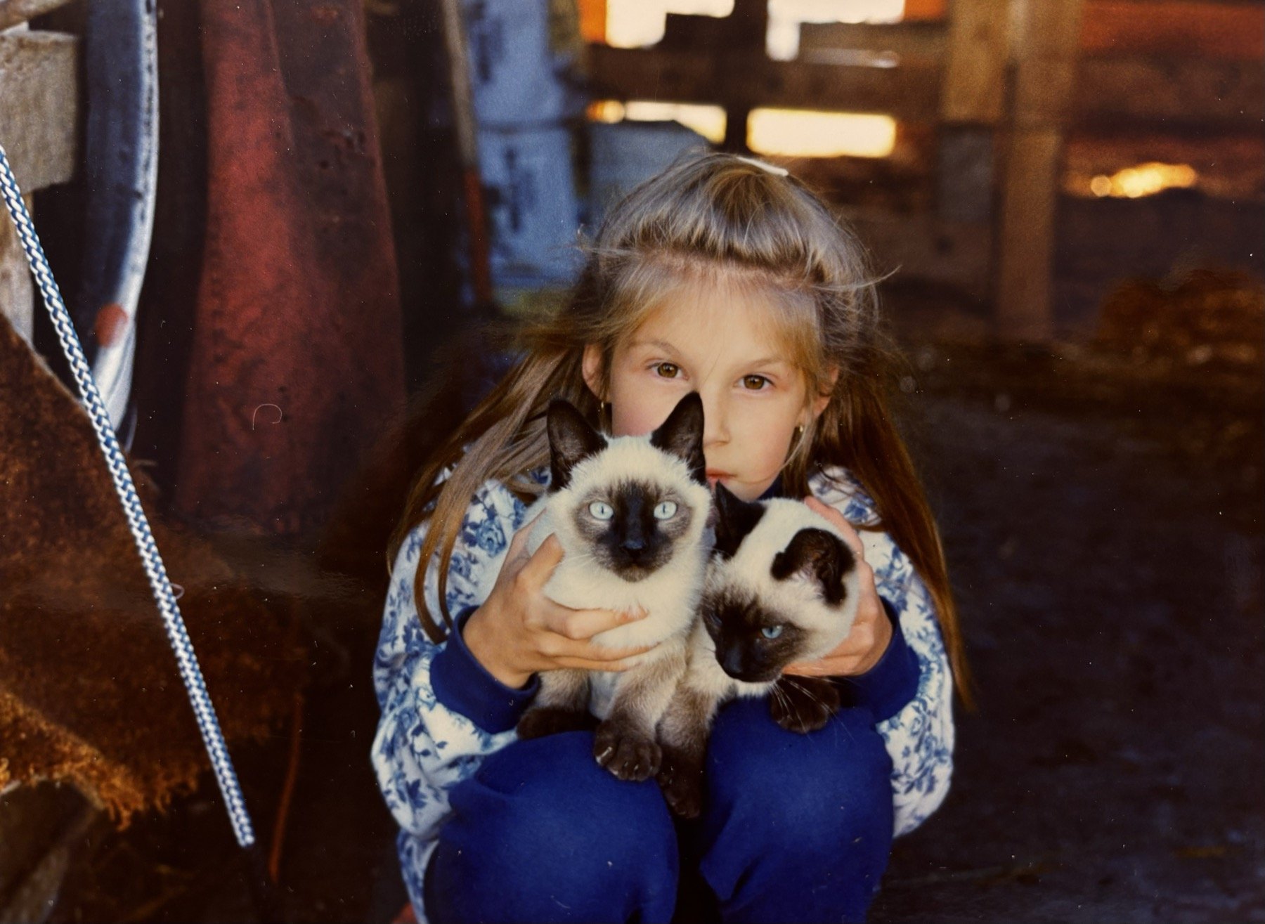 A child holding two cats in a barn